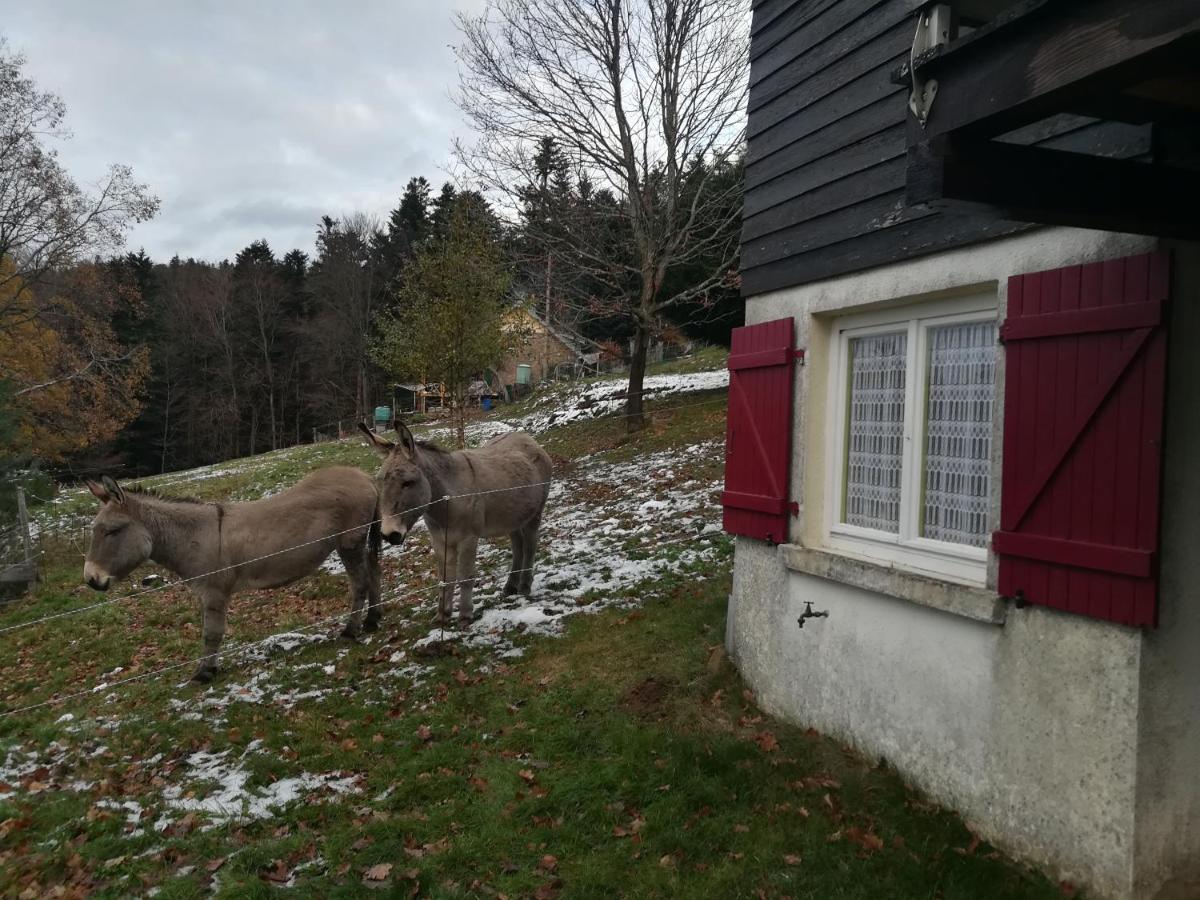Le Chalet De Rothenbuhl Dabo Екстер'єр фото