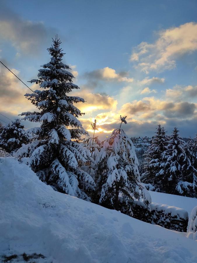 Le Chalet De Rothenbuhl Dabo Екстер'єр фото