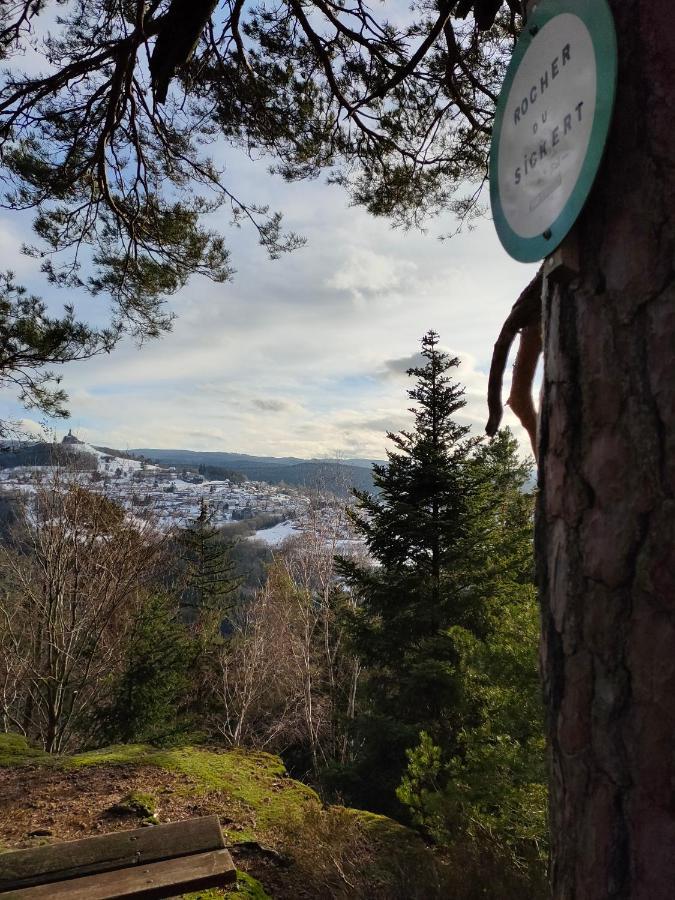 Le Chalet De Rothenbuhl Dabo Екстер'єр фото